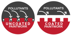 uncoated vs coated